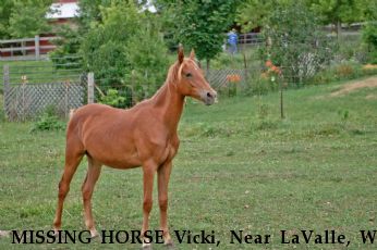 MISSING HORSE Vicki, Near LaValle, WI, 53941
